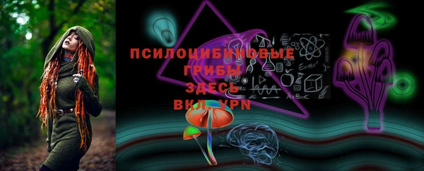 прущая мука Богородск