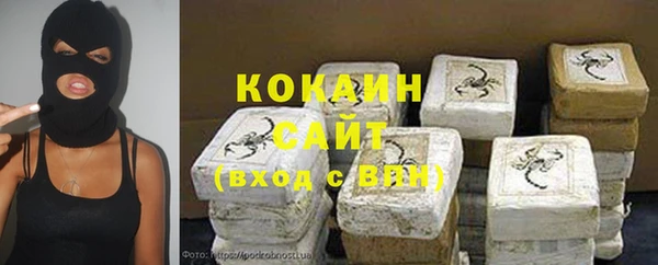 дживик Богородицк
