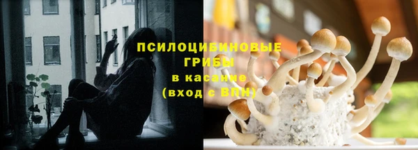 прущая мука Богородск