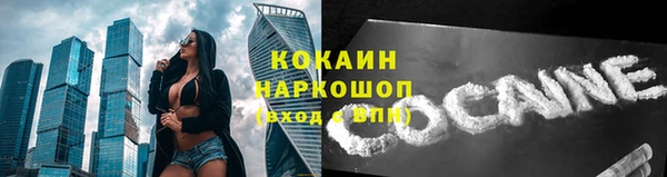 дживик Богородицк