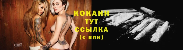 дживик Богородицк
