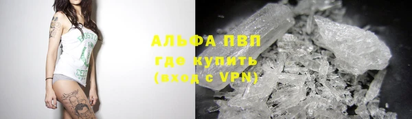 таблы Богданович
