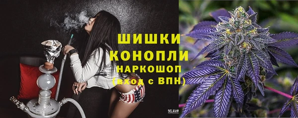 дживик Богородицк