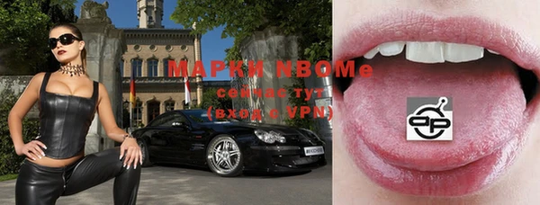 дживик Богородицк