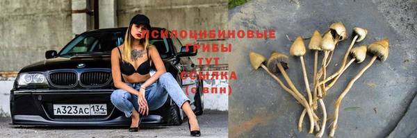 таблы Богданович